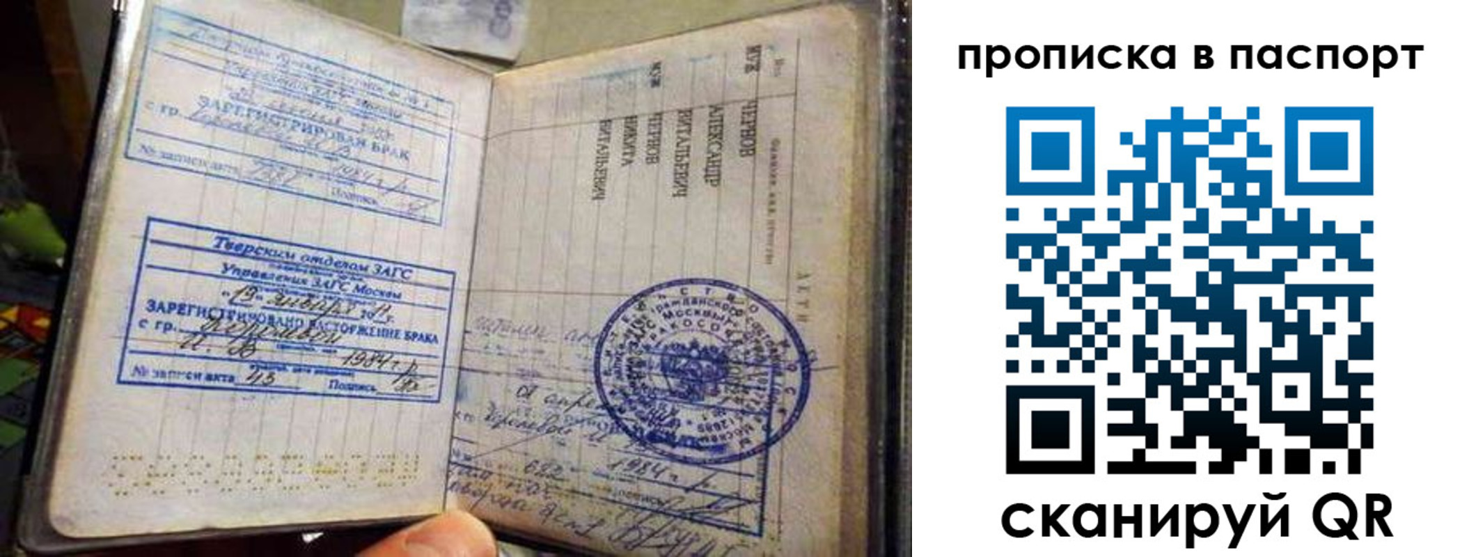 прописка поиск в Дальнегорске